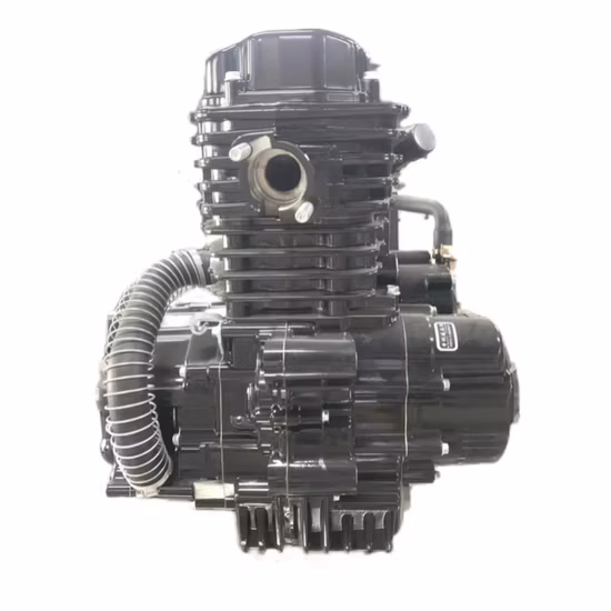 Motorradmotor Zongshen 250cc Dreiradluft
